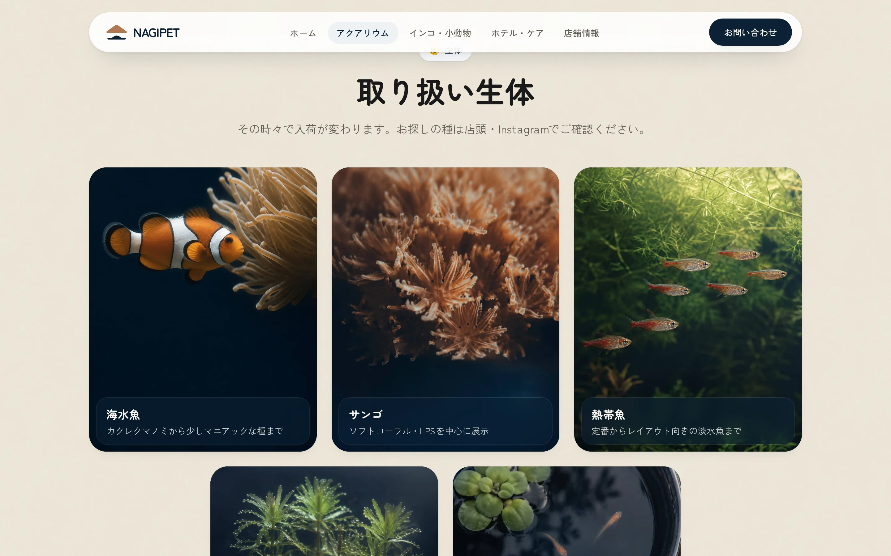 AQUARIUM
