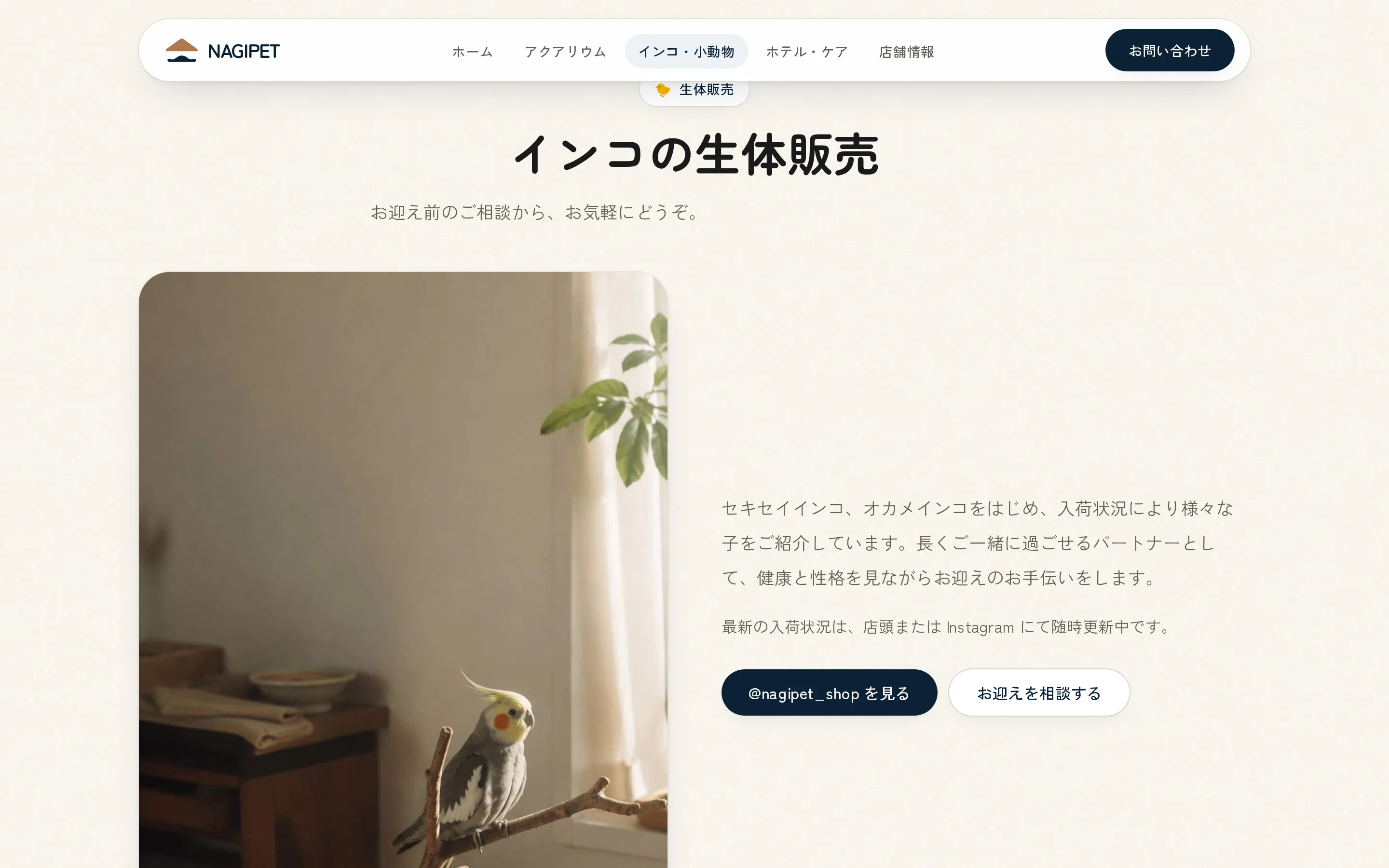 BIRDS & SMALL ANIMALS